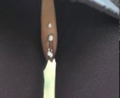 Пара без комплексов занимается сексом в парке после шоппинга